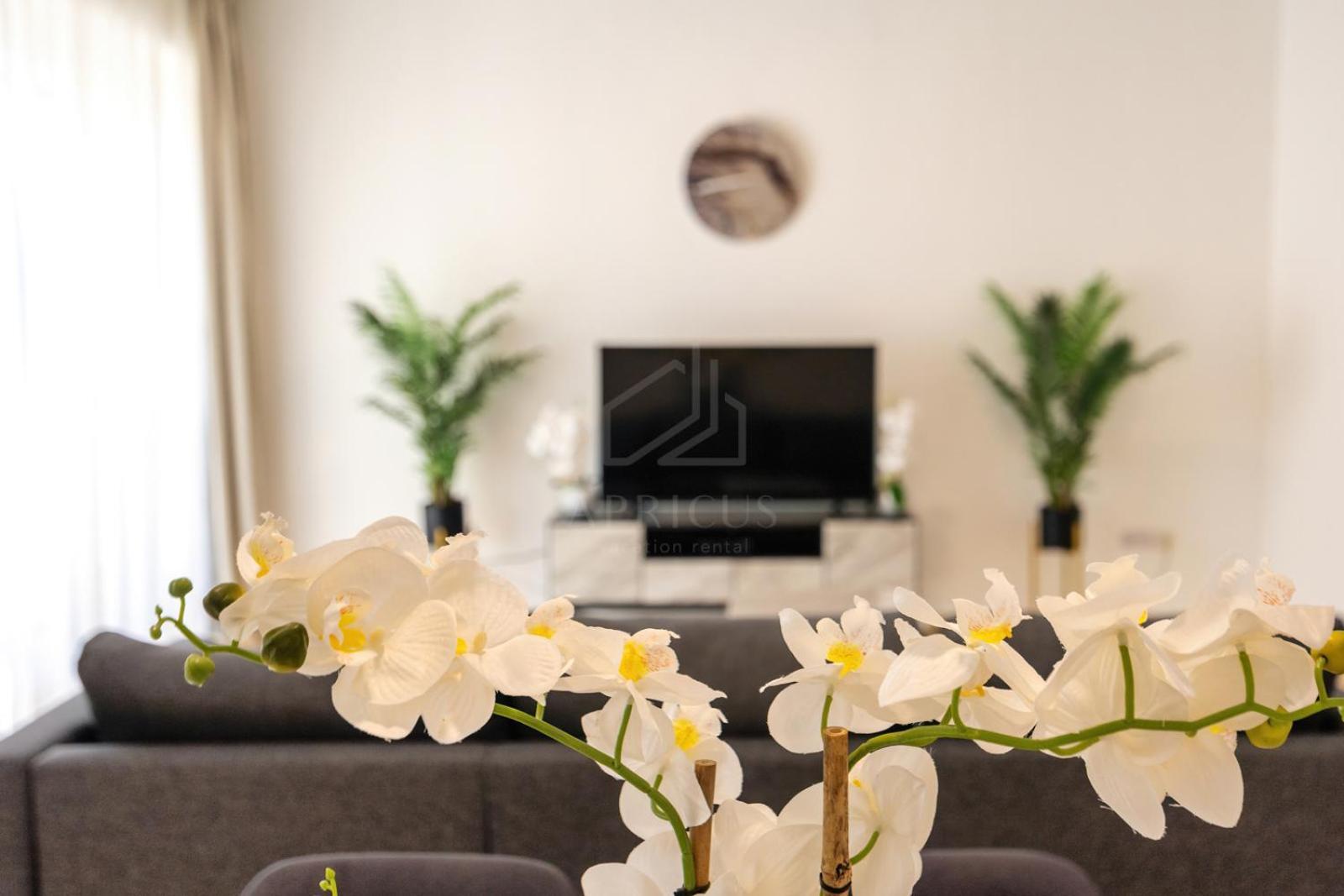 Brand New Rimal 2Bd In Front Of The Jbr Beach Dubái Exterior foto